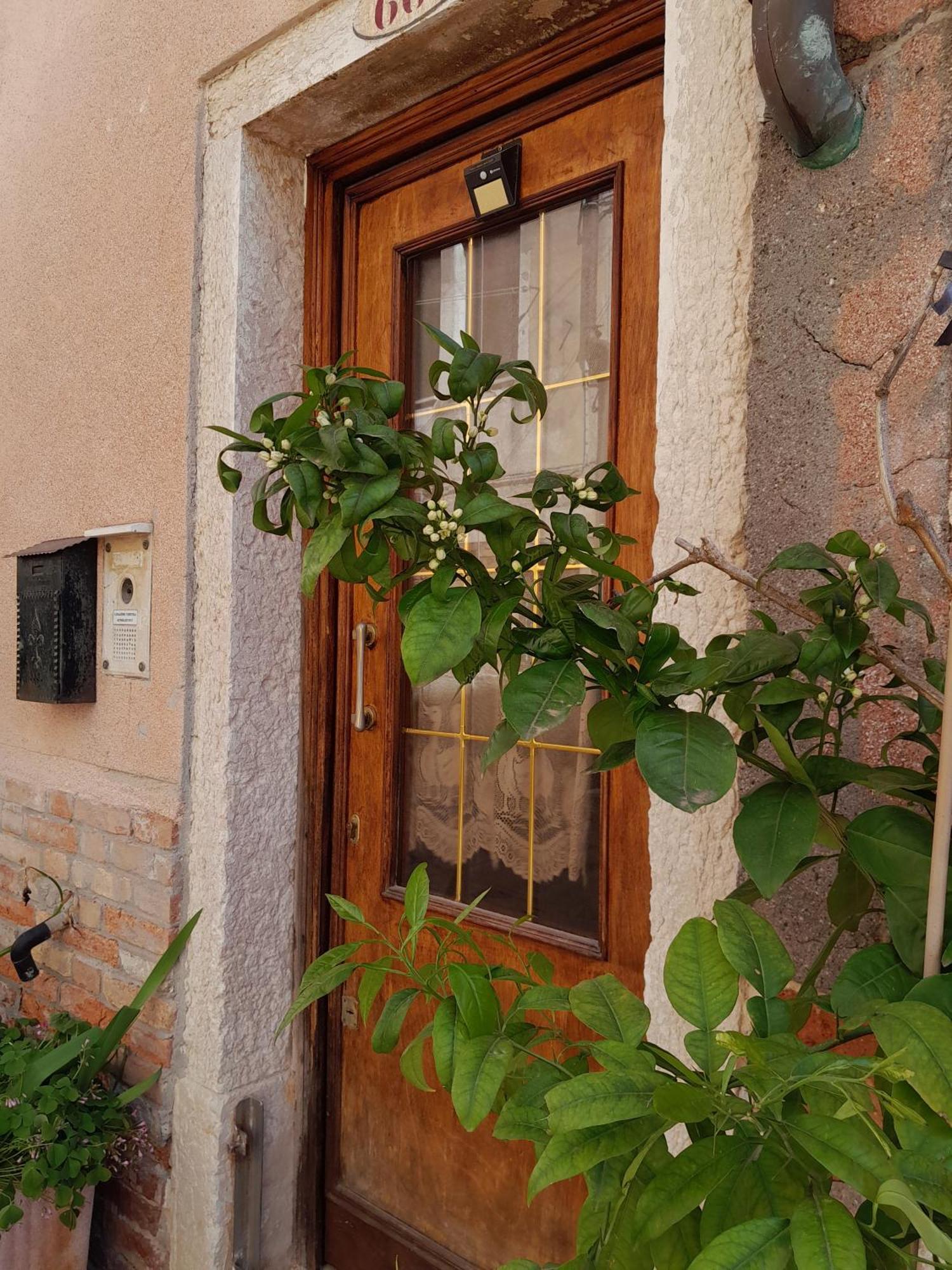 Apartment Residenza Ca' Leon *